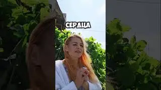 Любить и прощать это не слабость