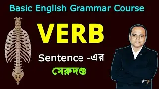 All Types of VERB in English Grammar | Auxiliary, Main, Finite Verbs