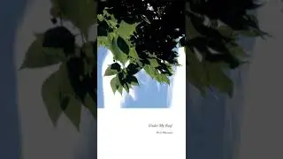 Under My Roof Ambience Soundscape | Reading Music