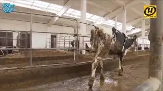 Полный разнос