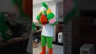 parrot mascot, custom made, shipping worldwide www.toys.md email papatedy@gmail.com