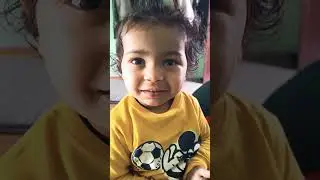 Funny Videos. 