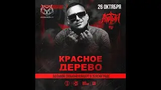 Красное Дерево | 26 октября | Зеленоград  | SOVA