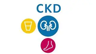 What is Kidney Disease?