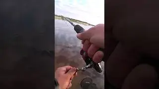 УБОЙНАЯ ЩУКА🐬🎣#sorts #fishing