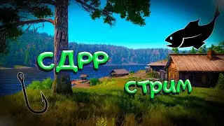 СЧ на море. Приболел. Без вебки. ( Русская рыбалка 4 )