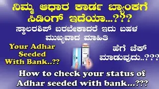 How to check your Adhar seeding status, important for SSP Scholarhip