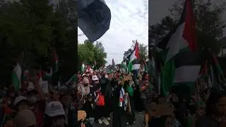 Aksi Bela Palestina CFD Solo #palestina #freepalestine