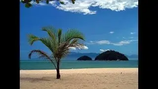 Viajando para Caraguatatuba - Daily Vlog #3