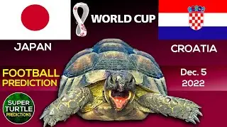 Japan vs Croatia ⚽ FIFA World Cup 2022 | 🐢 Turtle Football Predictions