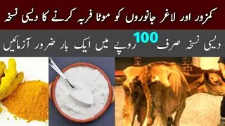 Desi Formula  for Fattening of Weak Animals  || Kmazor Janwer kay Liya Desi Nuksa arshad03447329953
