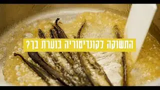 לימודי קונדטוריה בדנון