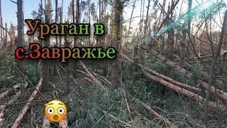 Сильнейший ураган в кадыйском районе. Трейлер