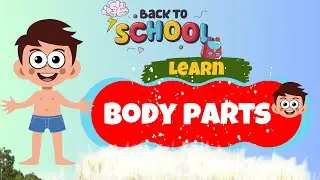 learn parts of the body | parts of the body | body parts