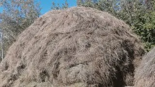 Привоз сена