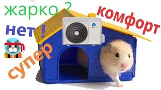 Кондиционер для террариума / Если грызунам жарко / дешёвый выход из положения жарким летом 🛀🤔🧐🪓🌨️😾🐭