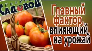 Самый главный фактор, влияющий на урожай
