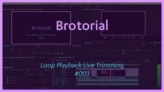 Loop Playback Live Trimming - Brotorial 
