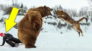 8 Incredible Moments When Wild Animals Saved People