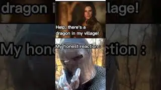 Skyrim Players be like: My honest reaction meme 