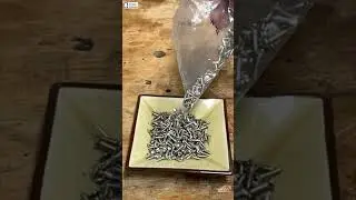 Guitar Pickguard Screws from the Manufacturer