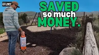 I Saved Hundreds Doing this. BLACK MULCH DYE.