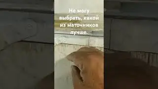 27 мая 2024 г.