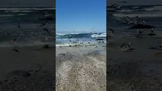 Dreaming of the beach!