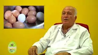YUMURTAYI KULLANIRKEN BAKIN NELERE DİKKAT ETMEMİZ GEREKİYOR .