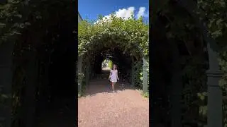 🏛Идеальное место для прогулки🍃 #shorts #кусково #рекомендации #усадьба