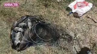 👍👍АСТРАХАНЬ БАЛИК ОВИ👍👍