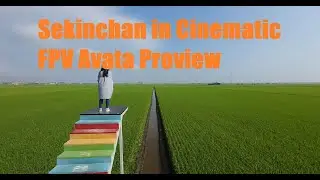 Cinematic FPV in Sekinchan with DJI Avata Proview
