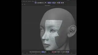 Cinema 4d Quick Retopo