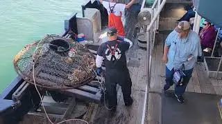 Bering Sea Crab Fisherman's Tour (video #2)