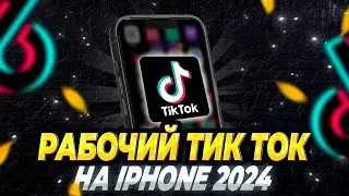 РАБОЧИЙ МОД ТИК ТОК НА АЙФОН 2024