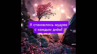 МОЩНЫЕ АФФИРМАЦИИ НА КАЖДЫЙ ДЕНЬ! 🧘🙌
