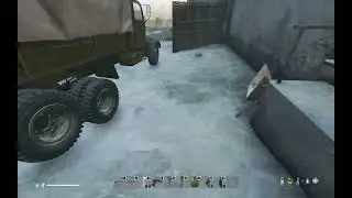 Dayz bug Auto