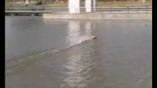 Motoscafo elettrico Hydro Boat 75 cm brushless rtr oltre 80 kmh 9202.wmv