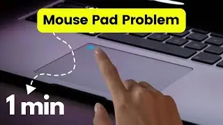 Solve Mouse pad problem in Laptop || How to solve mouse problem in Asus Laptop