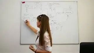 Бизнес-предложение для любого человека. Прошина Дарья