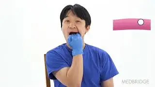TMJ Trigger Point Myofascial Pterygoid Release for TMJ and Jaw Pain #TMJ #TMD