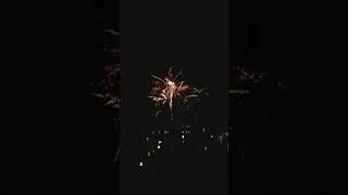 Feuerwerk in Bremen am Osterdeich, Höhe Stader Strasse