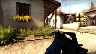 CS:GO - Wild Puma in Action!
