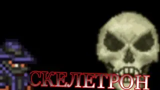 СКЕЛЕТРОН ТЕРРАРИЯ #1 СЕРИЯ