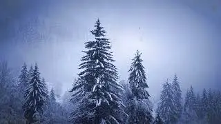 Nuku Nuku - Traditional Finnish Folk Lullaby by Nocivran