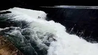 Deraniyagala - Sri Lanka