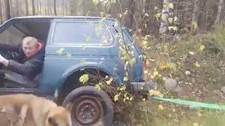Спасаем ниву из плена))