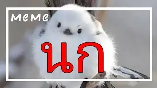 ~~°[]เอ่อ..ชั้นคิดว่า🕊️✨[]°~~°[]mEMe[]°~~