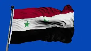 🚩Syria  Flag Waving  | GREEN SCREEN & CHROMA MATTE🚩