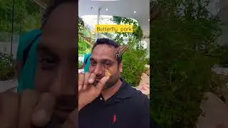 ഈ ഭാഗ്യം എനിക്കേ കിട്ടിയുള്ളൂ..